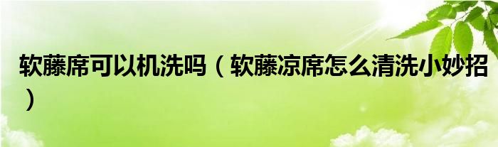 软藤席可以机洗吗（软藤凉席怎么清洗小妙招）