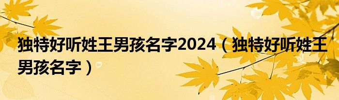 独特好听姓王男孩名字2024（独特好听姓王男孩名字）