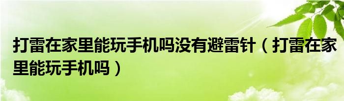 打雷在家里能玩手机吗没有避雷针（打雷在家里能玩手机吗）