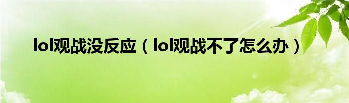 lol观战没反应（lol观战不了怎么办）