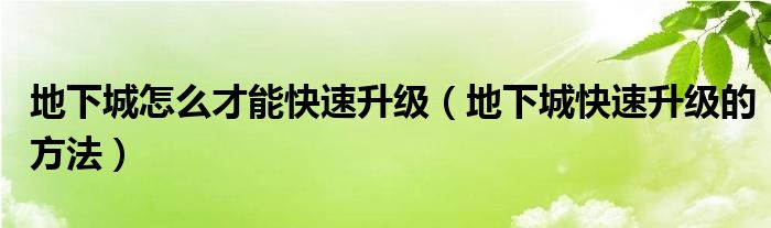 地下城怎么才能快速升级（地下城快速升级的方法）