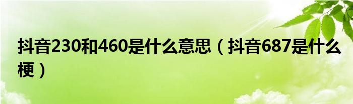 抖音230和460是什么意思（抖音687是什么梗）