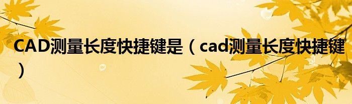 CAD测量长度快捷键是（cad测量长度快捷键）