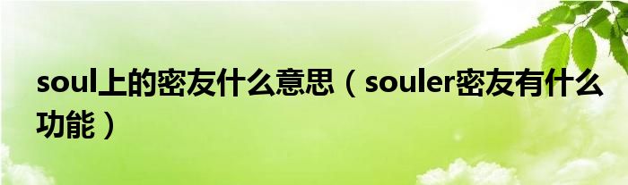 soul上的密友什么意思（souler密友有什么功能）