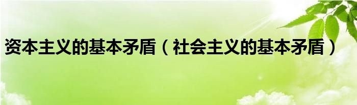 资本主义的基本矛盾（社会主义的基本矛盾）