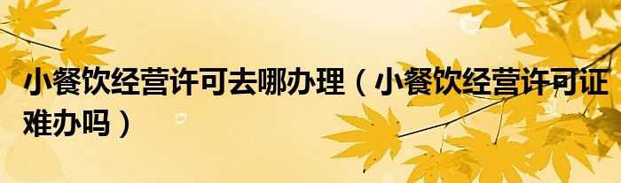 小餐饮经营许可去哪办理（小餐饮经营许可证难办吗）