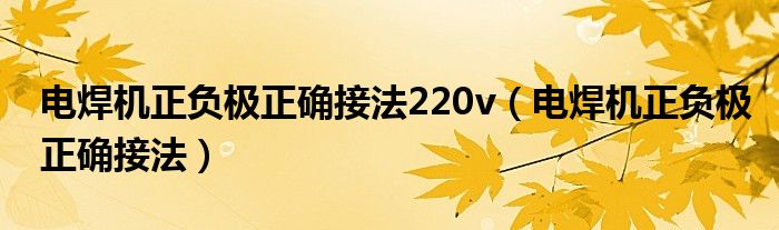 电焊机正负极正确接法220v（电焊机正负极正确接法）