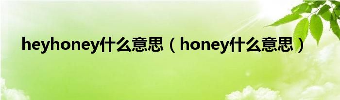 heyhoney什么意思（honey什么意思）