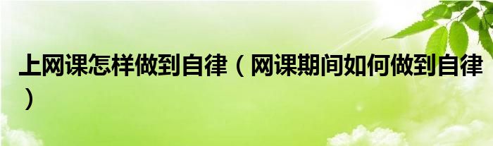 上网课怎样做到自律（网课期间如何做到自律）