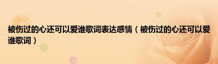 被伤过的心还可以爱谁歌词表达感情（被伤过的心还可以爱谁歌词）