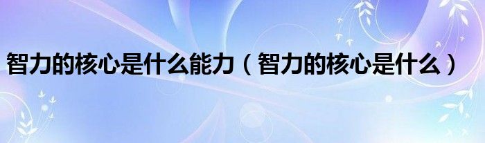 智力的核心是什么能力（智力的核心是什么）