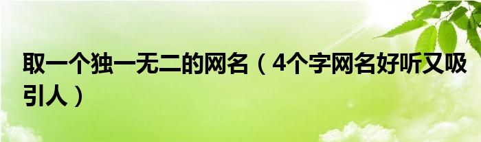 取一个独一无二的网名（4个字网名好听又吸引人）