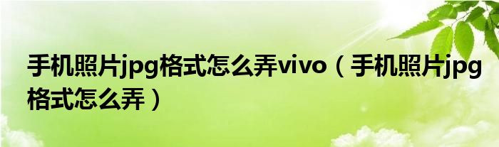 手机照片jpg格式怎么弄vivo（手机照片jpg格式怎么弄）