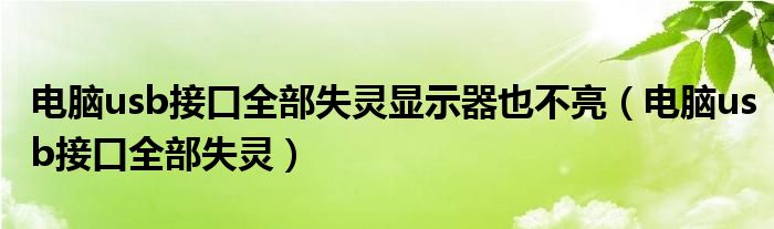 电脑usb接口全部失灵显示器也不亮（电脑usb接口全部失灵）