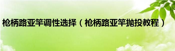 枪柄路亚竿调性选择（枪柄路亚竿抛投教程）