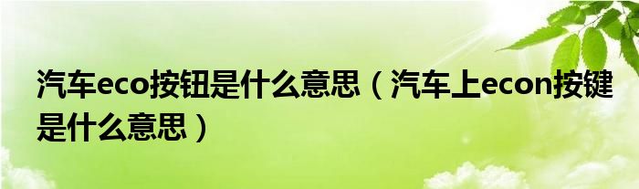 汽车eco按钮是什么意思（汽车上econ按键是什么意思）