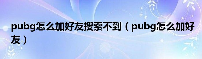 pubg怎么加好友搜索不到（pubg怎么加好友）