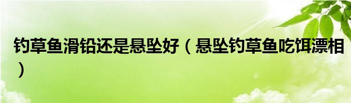 钓草鱼滑铅还是悬坠好（悬坠钓草鱼吃饵漂相）