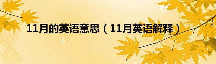 11月的英语意思（11月英语解释）