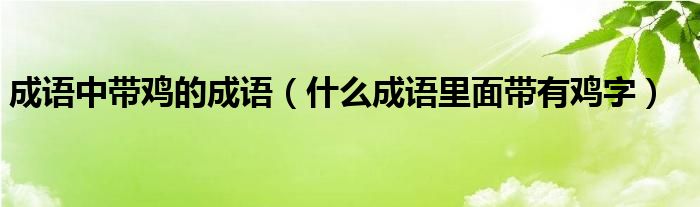 成语中带鸡的成语（什么成语里面带有鸡字）