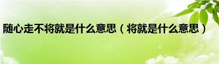 随心走不将就是什么意思（将就是什么意思）