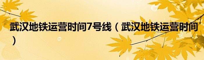 武汉地铁运营时间7号线（武汉地铁运营时间）