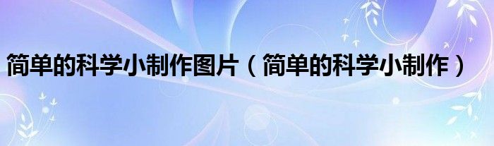 简单的科学小制作图片（简单的科学小制作）