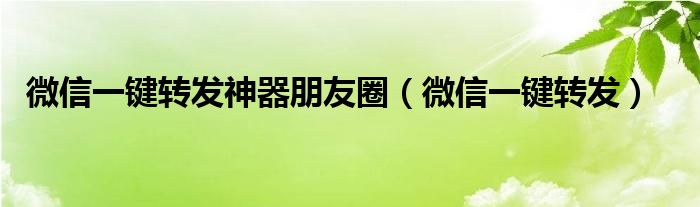 微信一键转发神器朋友圈（微信一键转发）