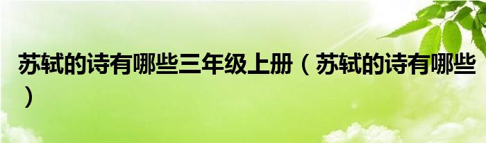 苏轼的诗有哪些三年级上册（苏轼的诗有哪些）