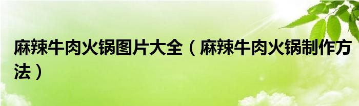 麻辣牛肉火锅图片大全（麻辣牛肉火锅制作方法）