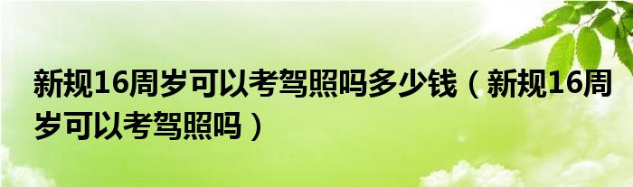 新规16周岁可以考驾照吗多少钱（新规16周岁可以考驾照吗）