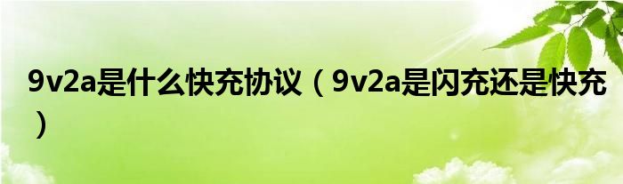 9v2a是什么快充协议（9v2a是闪充还是快充）