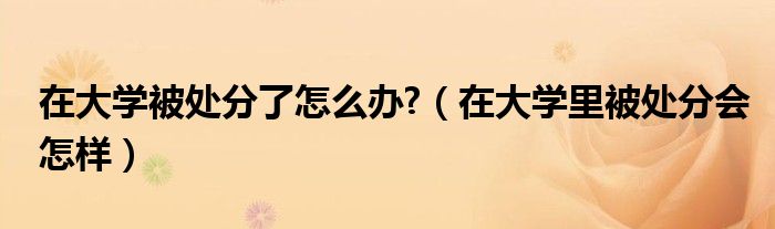 在大学被处分了怎么办?（在大学里被处分会怎样）