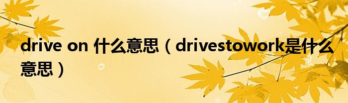 drive on 什么意思（drivestowork是什么意思）