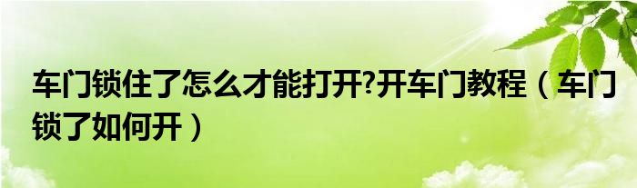 车门锁住了怎么才能打开?开车门教程（车门锁了如何开）