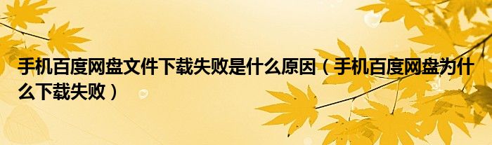 手机百度网盘文件下载失败是什么原因（手机百度网盘为什么下载失败）