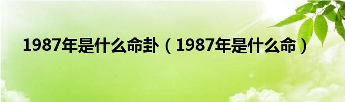 1987年是什么命卦（1987年是什么命）