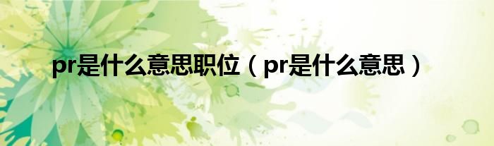 pr是什么意思职位（pr是什么意思）