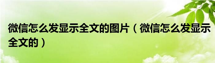 微信怎么发显示全文的图片（微信怎么发显示全文的）