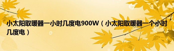 小太阳取暖器一小时几度电900W（小太阳取暖器一个小时几度电）