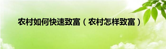 农村如何快速致富（农村怎样致富）