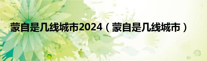 蒙自是几线城市2024（蒙自是几线城市）