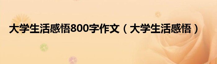 大学生活感悟800字作文（大学生活感悟）