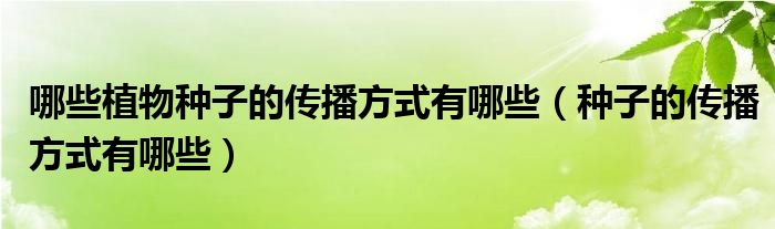 哪些植物种子的传播方式有哪些（种子的传播方式有哪些）