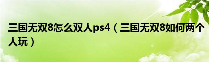 三国无双8怎么双人ps4（三国无双8如何两个人玩）