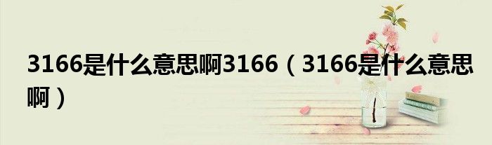 3166是什么意思啊3166（3166是什么意思啊）