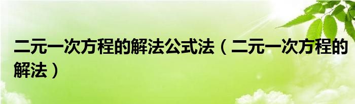 二元一次方程的解法公式法（二元一次方程的解法）