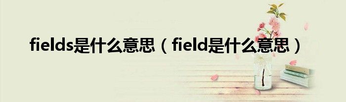 fields是什么意思（field是什么意思）