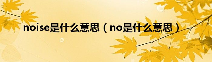 noise是什么意思（no是什么意思）