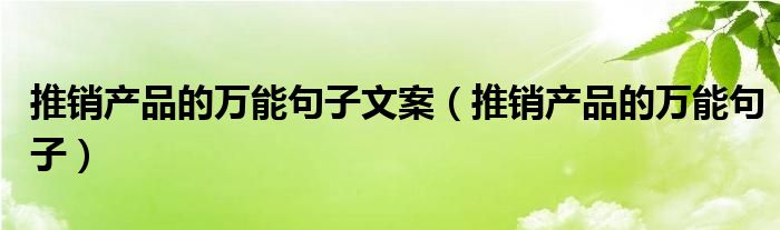 推销产品的万能句子文案（推销产品的万能句子）